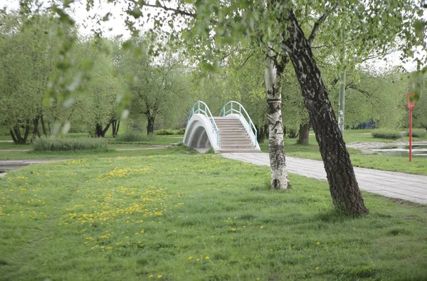 Sommar i stadsparken — Stockfoto