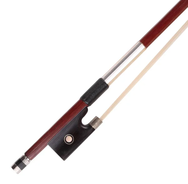 Violin Bow Isolated   at dry sunny day — Stock Photo, Image