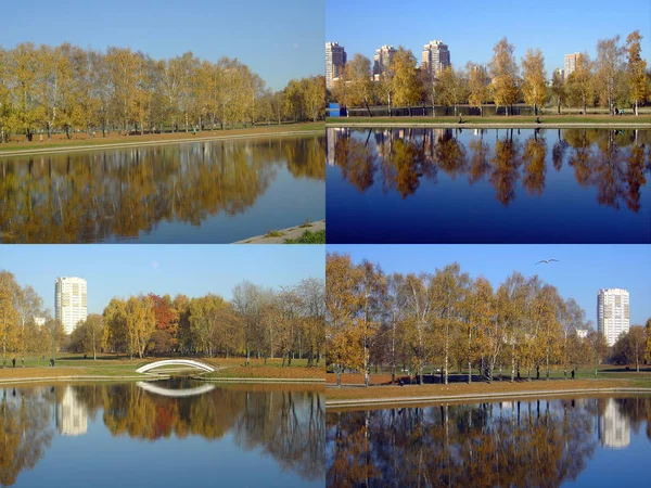 Set of city park in gold fall — Stock Photo, Image