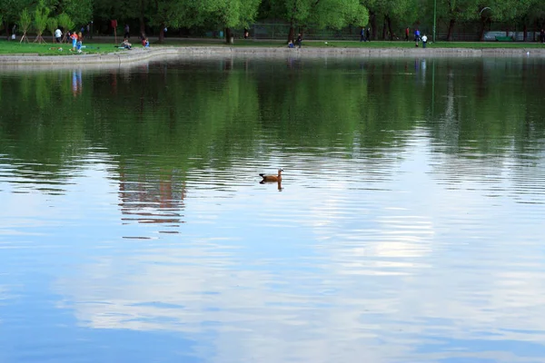 Lente in stad — Stockfoto