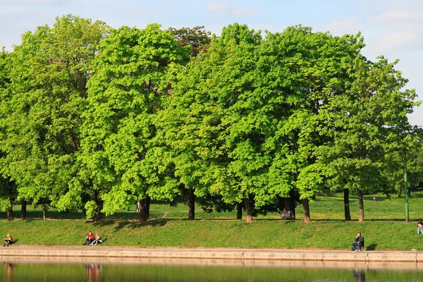 Zomer in stadspark — Stockfoto