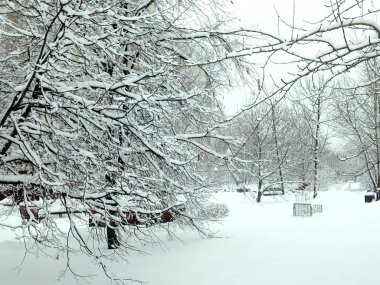 Şehir parkında kar yağdıktan sonra gündüz