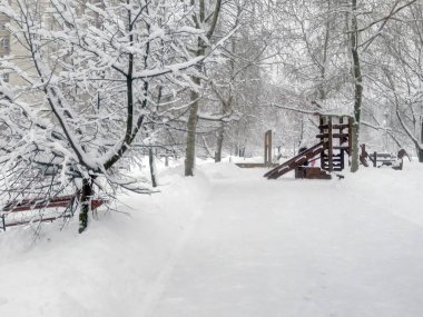 Şehir parkında kar yağdıktan sonra gündüz