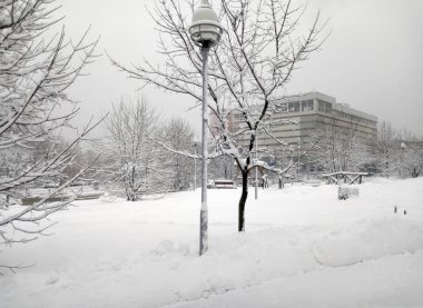 Şehir parkında kar yağdıktan sonra gündüz