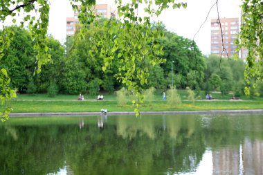 Kuru gün Park'ta yaz