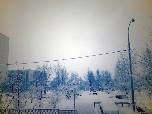 Parque de la ciudad después de nevadas en el día — Foto de Stock