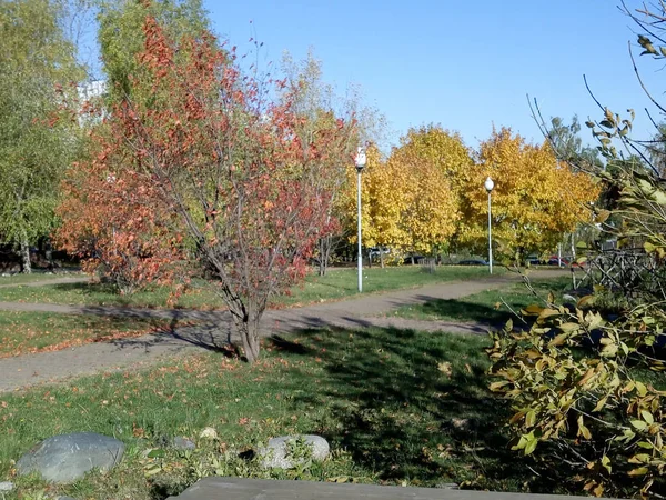 Autumn in city park at dry sunny day — Stock Photo, Image