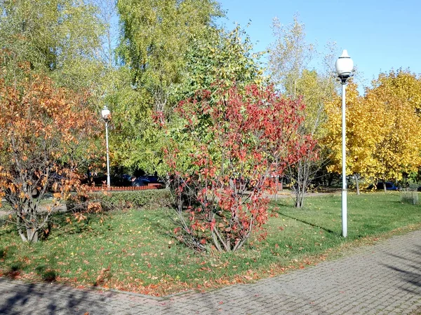 Hösten i stadsparken på torr solig dag — Stockfoto