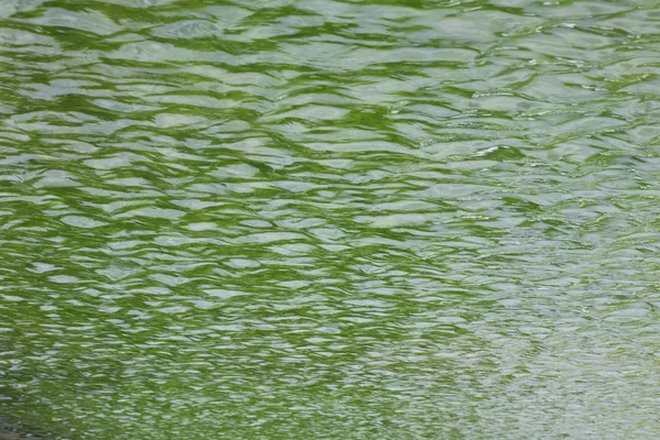 Wellen auf dem Wasser — Stockfoto