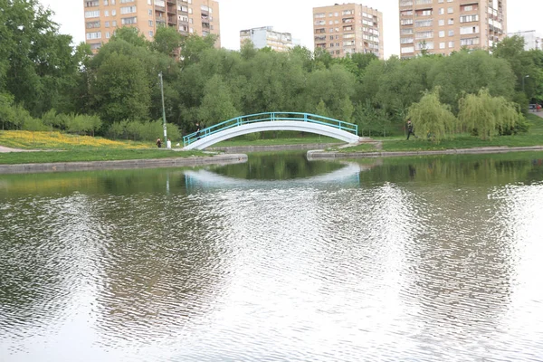 Primavera no parque da cidade — Fotografia de Stock