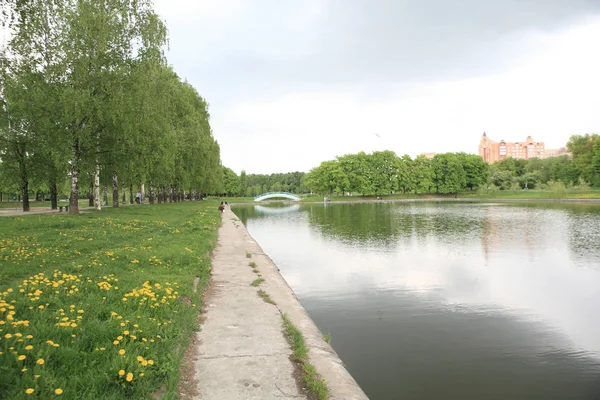 Primavera en parque de la ciudad — Foto de Stock