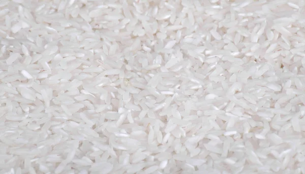 Many of rice food background — Stock Photo, Image