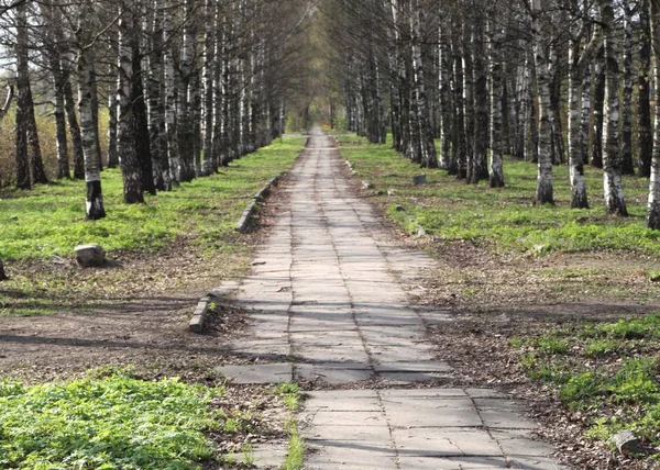 Frühling im Stadtpark — Stockfoto