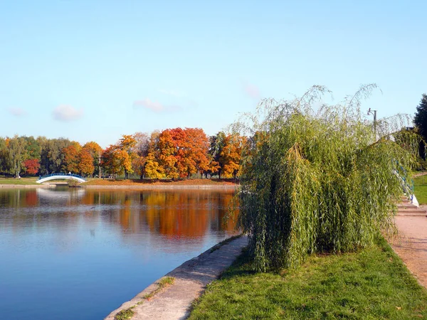 Městský park ve zlatém podzimu — Stock fotografie