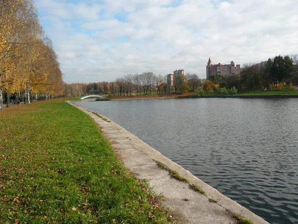 Étang dans le parc municipal — Photo