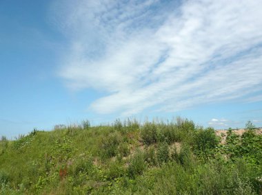 Yaz aylarında peyzaj