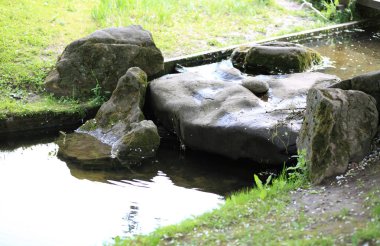 Japonya 'nın gündüz bahçesi