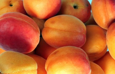 birçok turuncu gününde şeftali