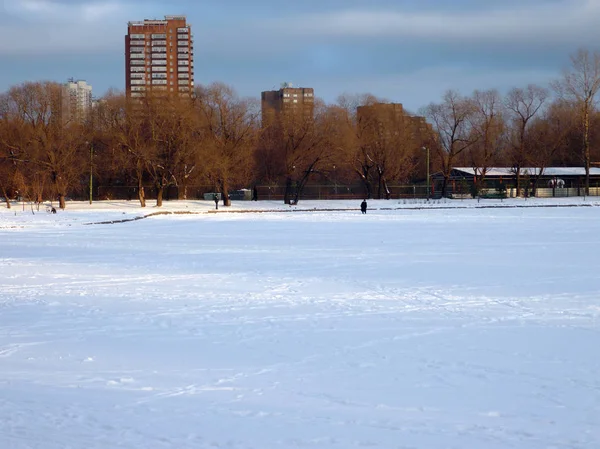 Invierno en el parque de la ciudad en enero a la hora del día — Foto de Stock