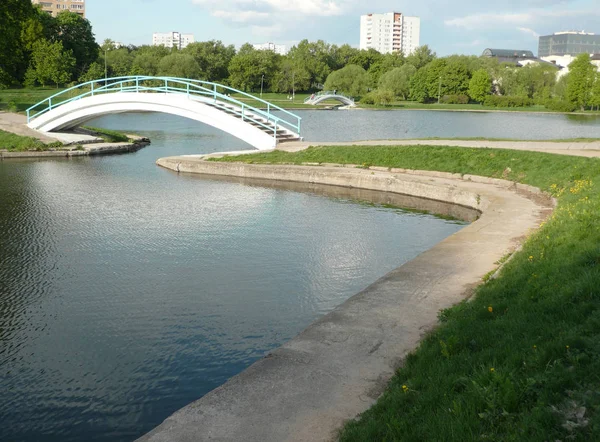 Sommar i stadsparken — Stockfoto