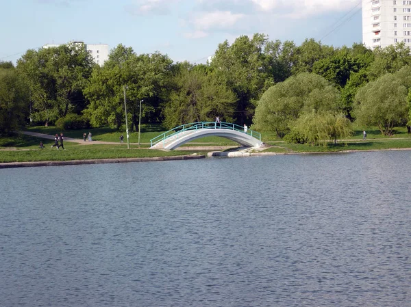 Літо в міському парку вдень — стокове фото