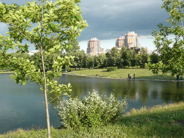 Zomer in stadspark — Stockfoto