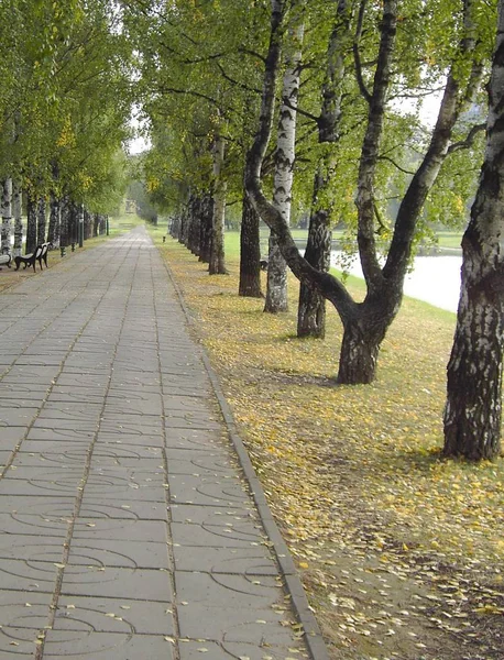 Park miejski jesienią — Zdjęcie stockowe