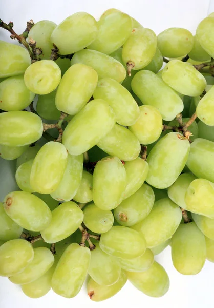 Uvas verdes al día — Foto de Stock