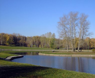 Sonbaharda altın park