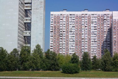 Şehir parkında yaz güneşli bir günde