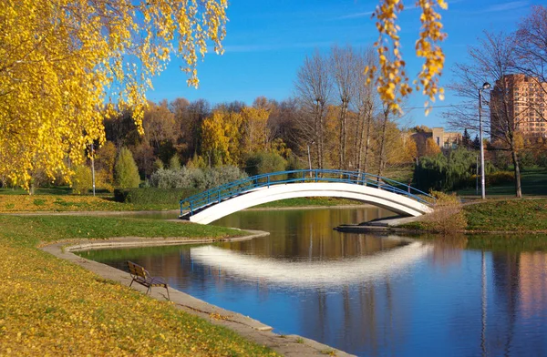 Autunno nel parco cittadino — Foto Stock