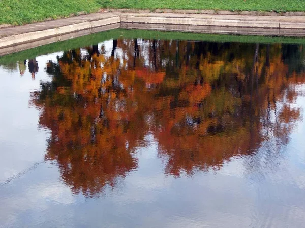 Reflet des bois à la journée sèche ensoleillée — Photo