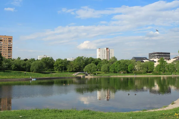 Sommer i byparken - Stock-foto