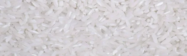 Rice background at day — Stock Photo, Image