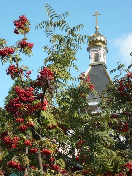 Old wood temple bogorodskiy and asberry — Stock Photo, Image