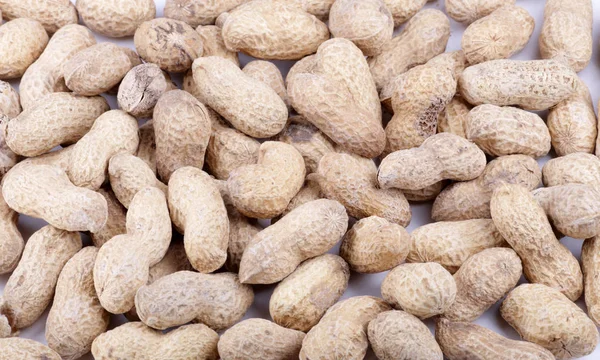 Groundnut background at day — Stock Photo, Image