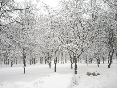 bir gün sonra kar yağışı