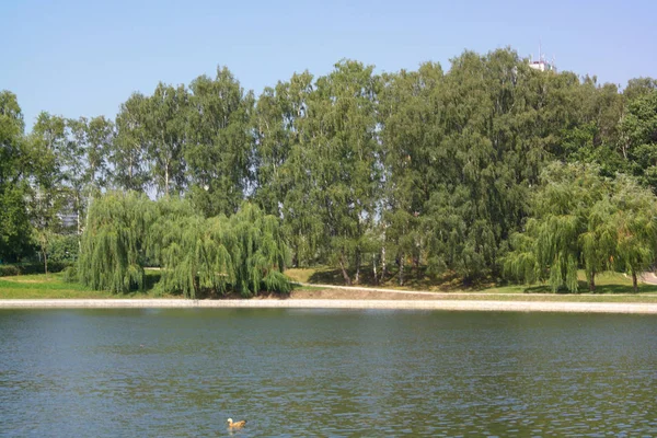 Sommer im Stadtpark — Stockfoto