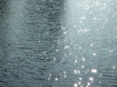 Şehir parkındaki gölette parlıyor  