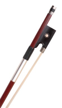 Keman yayı izole kuru gün