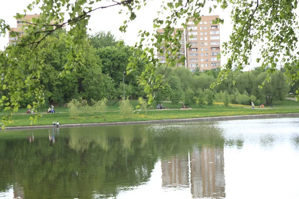 Parque de verano en el día — Foto de Stock