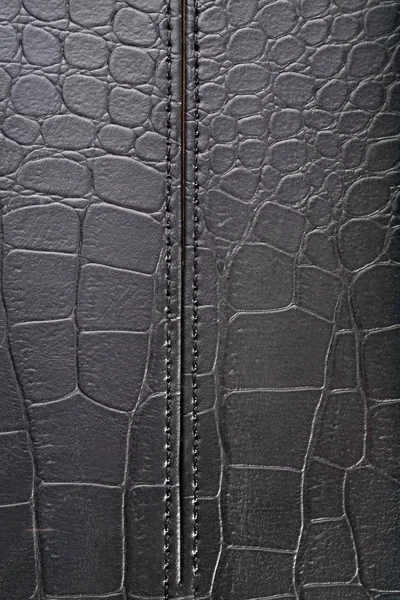 Texture de fond en cuir au jour sec — Photo