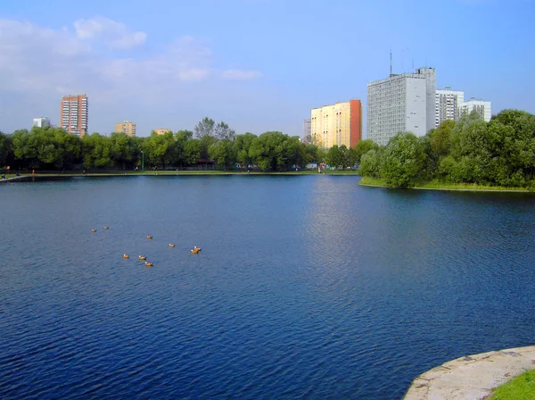 Лето в городском парке — стоковое фото