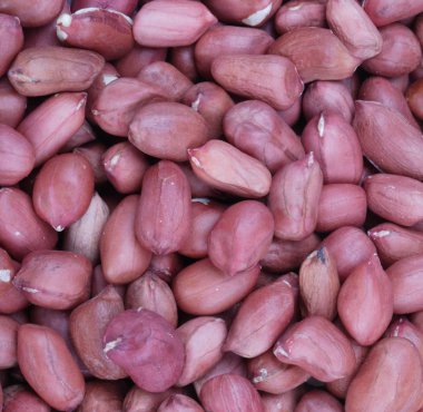 Kuru gün vasıl Arachis geçmiş