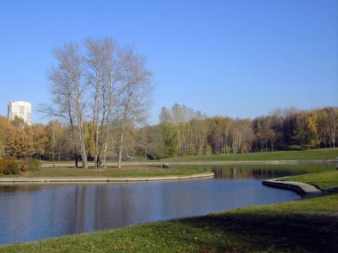 Sonbaharda altın park