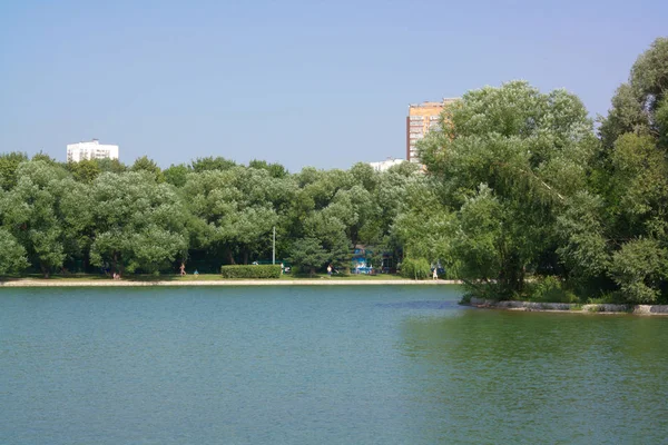 Été dans le parc de la ville — Photo