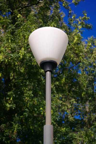 Lantern and tree at dry day — Stock Photo, Image