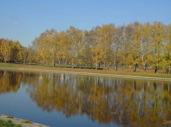 Park w upadku złota — Zdjęcie stockowe