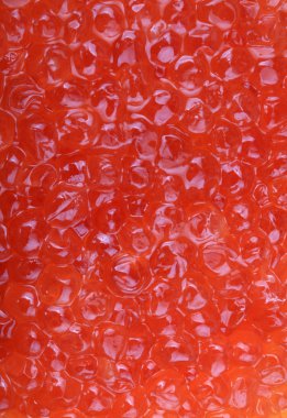 Gündüz kırmızı havyar