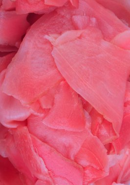 Gündüz pembe zencefil